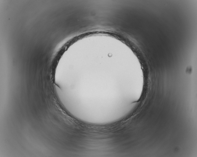 X0000113961310200911061317