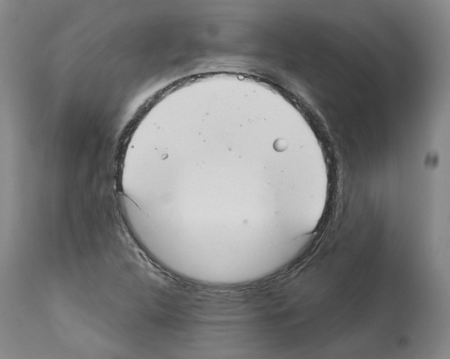 X0000113961312200911061317