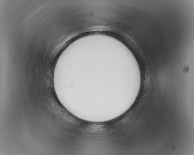 X0000113961313200911061317