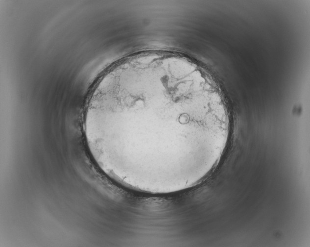 X0000113961314200911061317