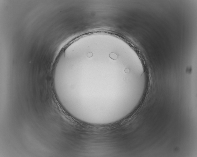 X0000113961316200911061317