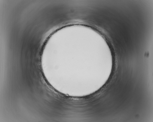 X0000113961318200911061317