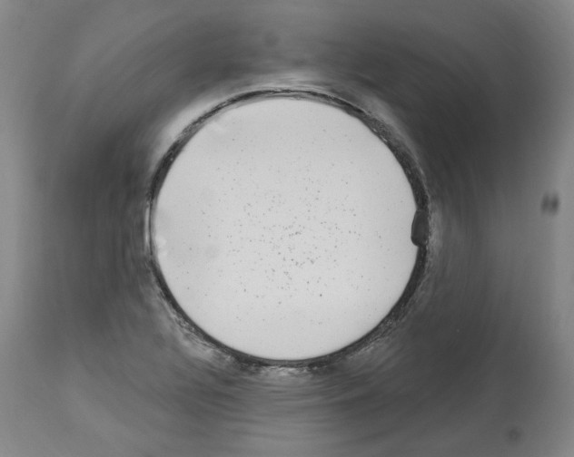 X0000113961320200911061317