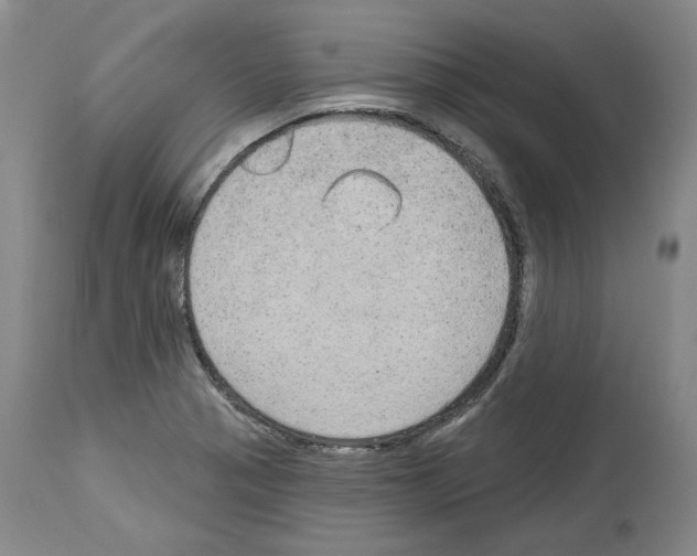 X0000113961321200911061317