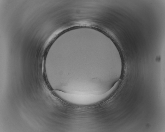 X0000113961323200911061317