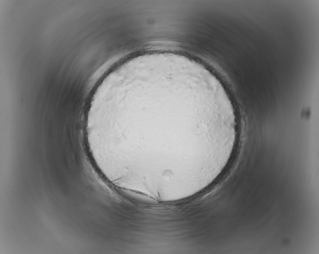 X0000113961325200911061317