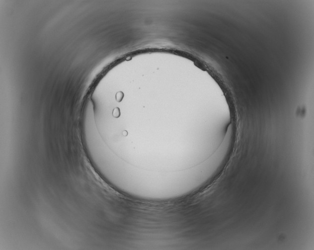 X0000113961326200911061317