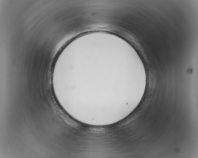 X0000113961328200911061317