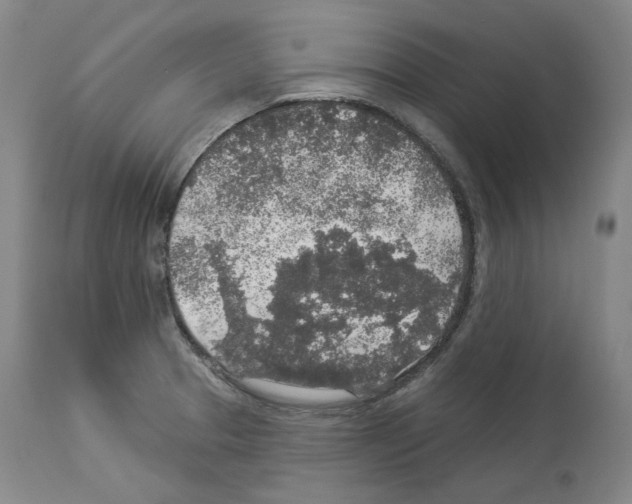X0000113961329200911061317