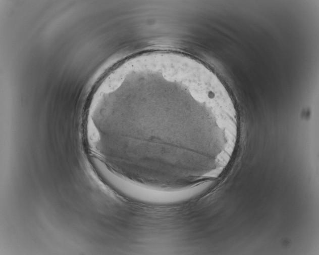 X0000113961331200911061317