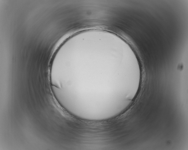 X0000113961332200911061317