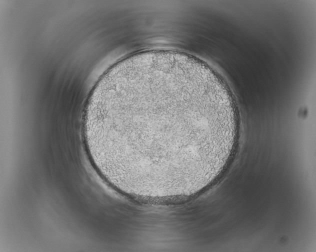 X0000113961333200911061317