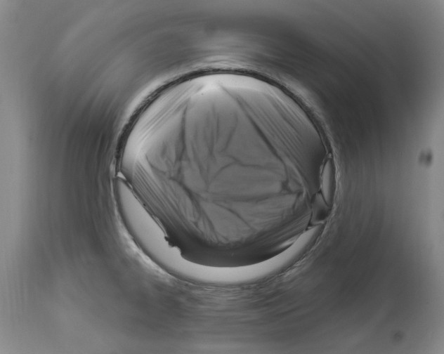 X0000113961334200911061317
