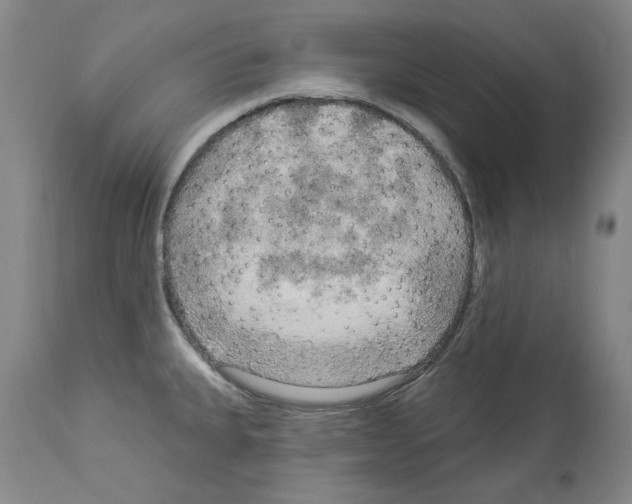 X0000113961335200911061317