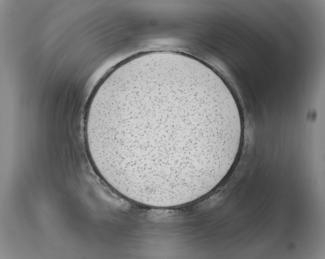 X0000113961336200911061317