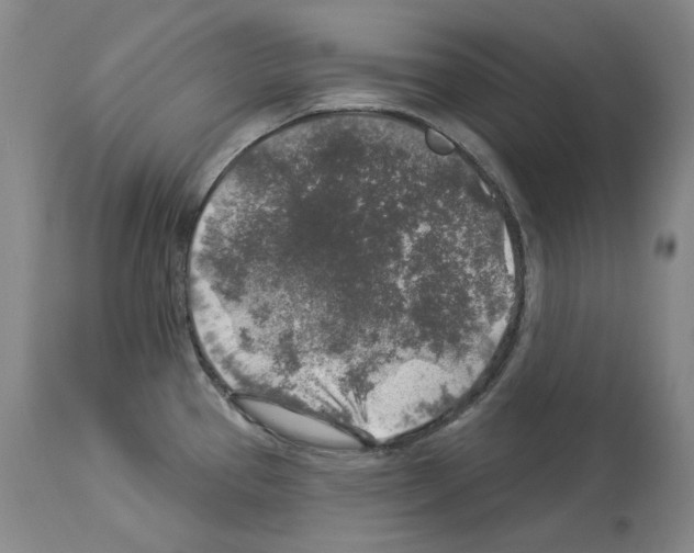 X0000113961337200911061317