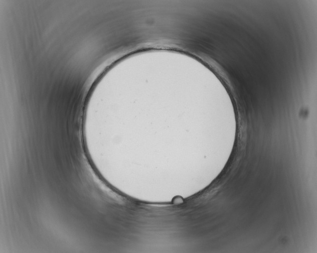 X0000113961343200911061317