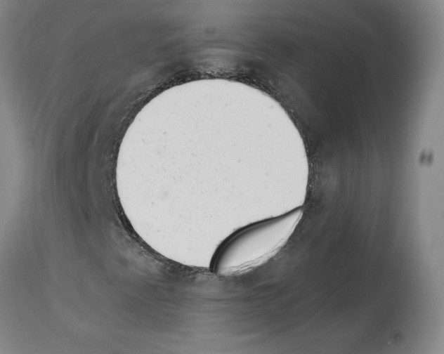 X0000113961345200911061316