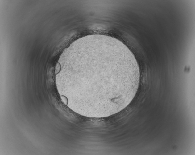 X0000113961346200911061316