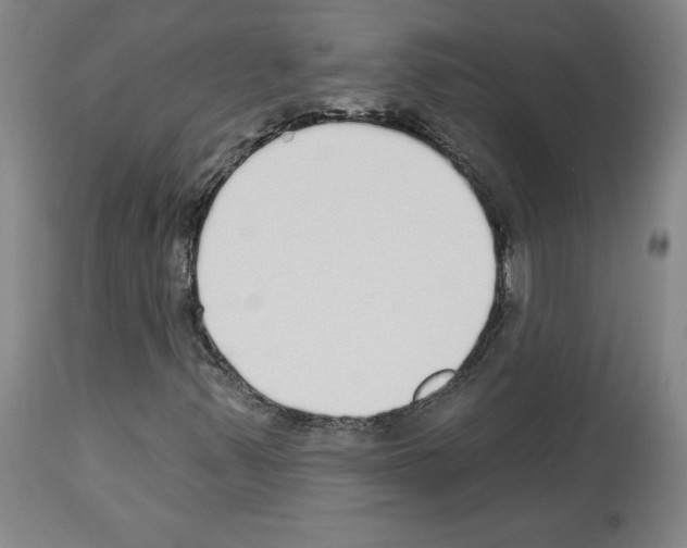 X0000113961347200911061316