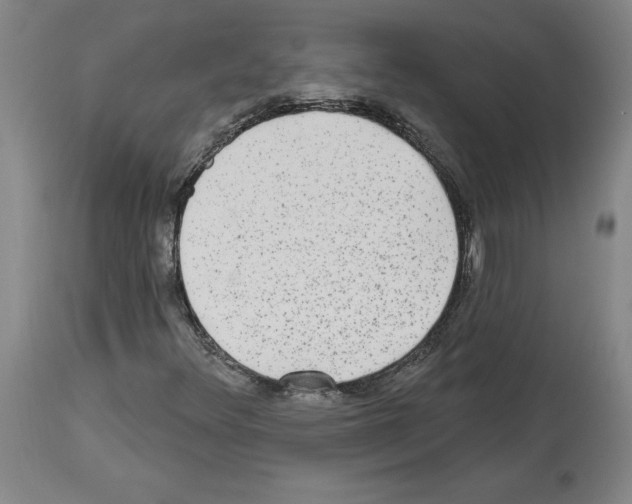 X0000113961348200911061316