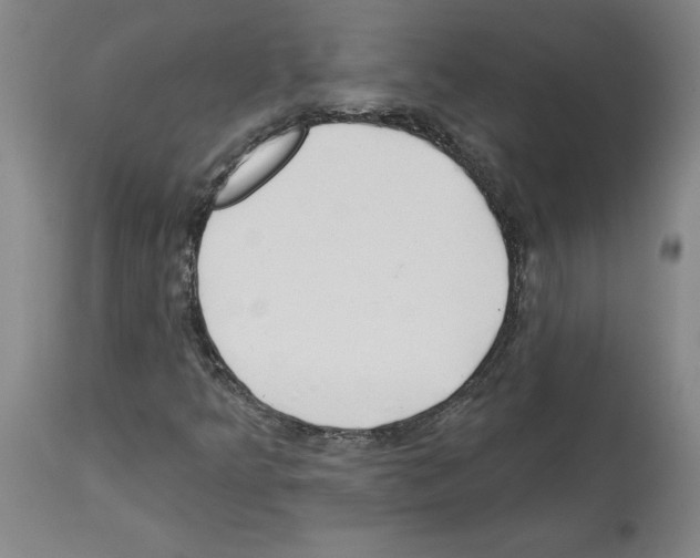 X0000113961349200911061316