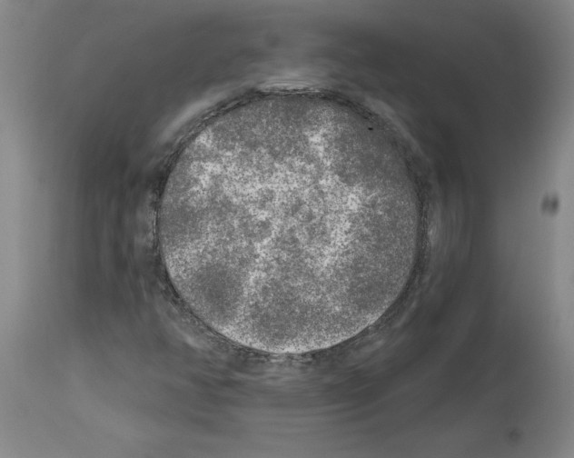 X0000113961350200911061316