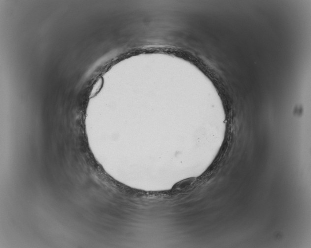 X0000113961351200911061316