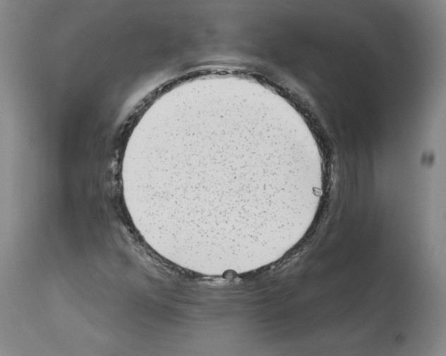 X0000113961352200911061316