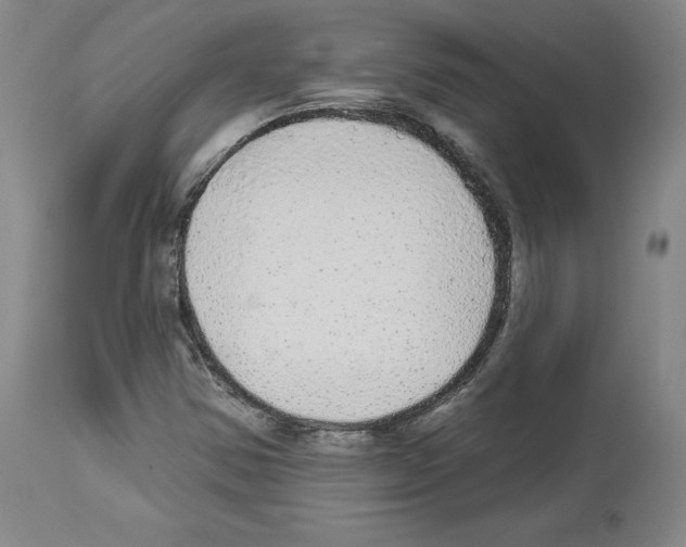 X0000113961354200911061316