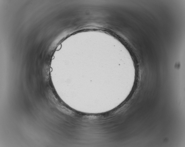 X0000113961355200911061316