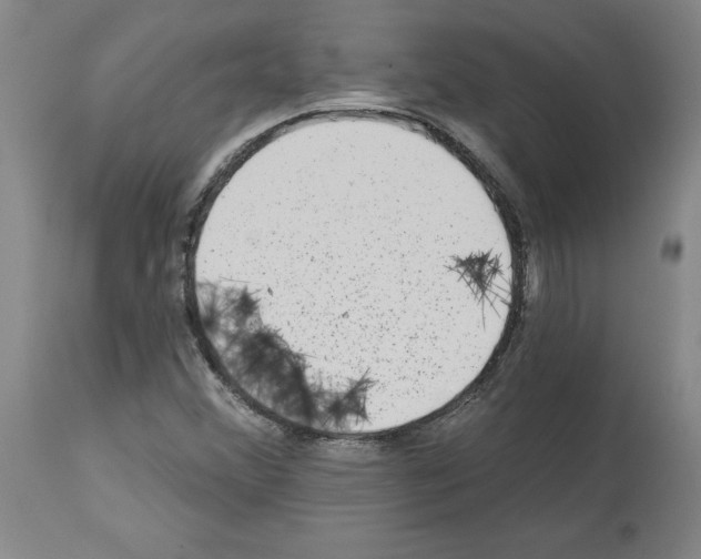 X0000113961356200911061316