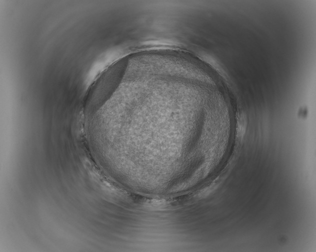 X0000113961357200911061316