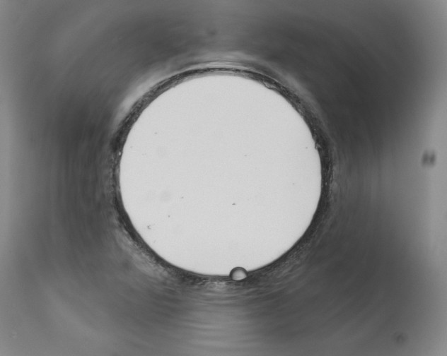 X0000113961360200911061316