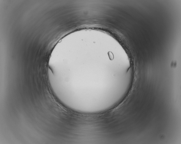 X0000113961361200911061316