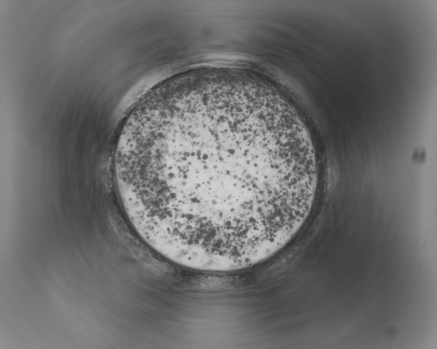 X0000113961362200911061316