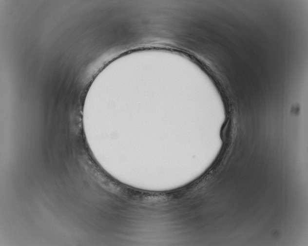 X0000113961363200911061316