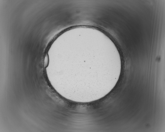 X0000113961364200911061316