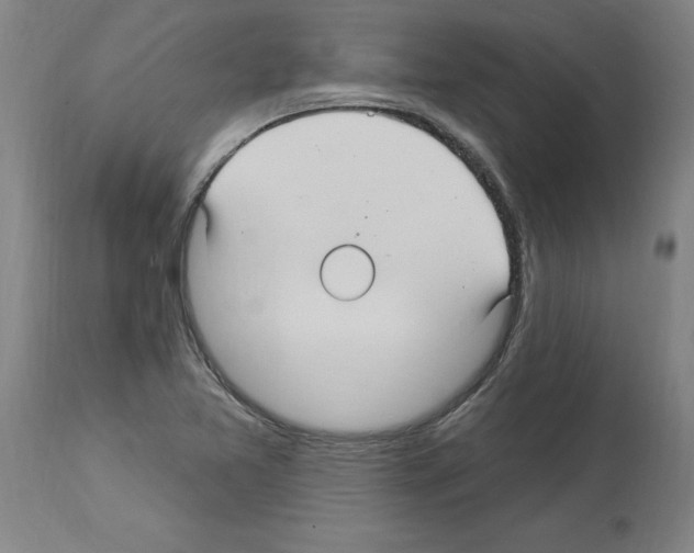 X0000113961365200911061316