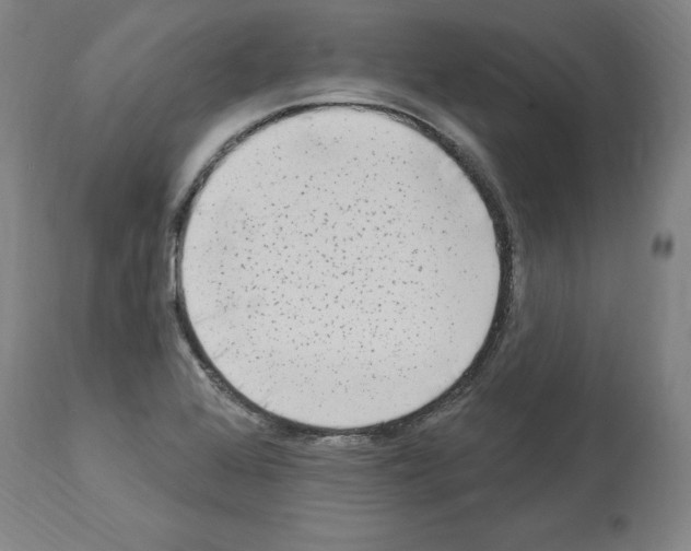 X0000113961368200911061316