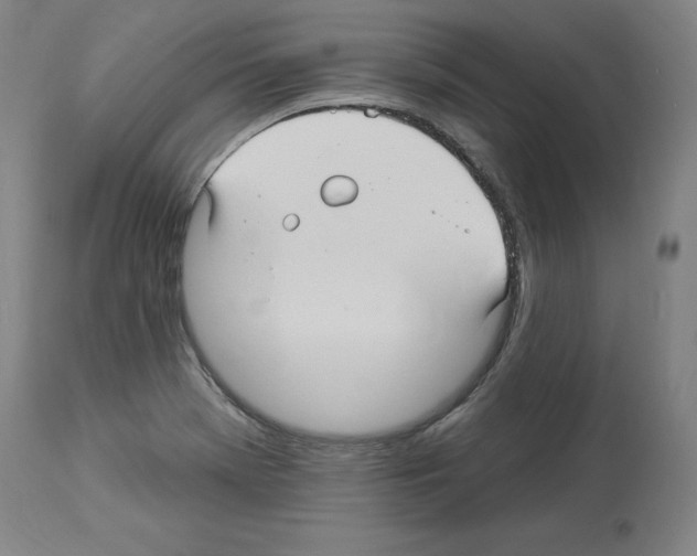 X0000113961369200911061316