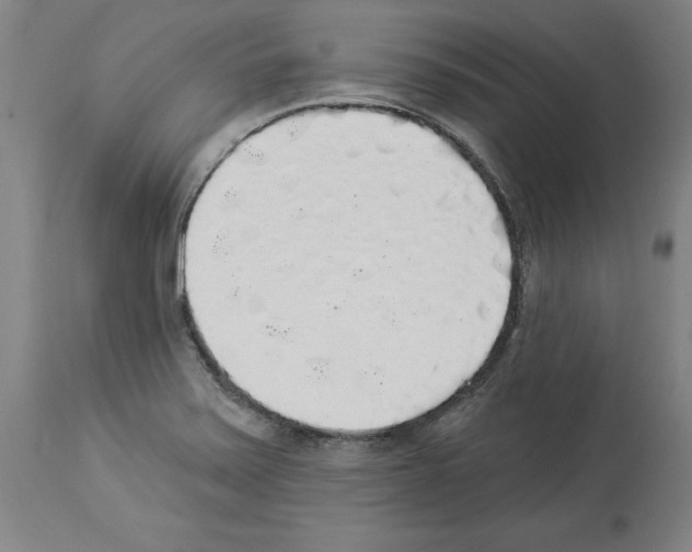X0000113961371200911061316