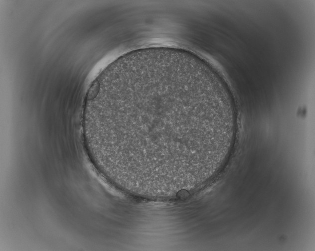 X0000113961373200911061316