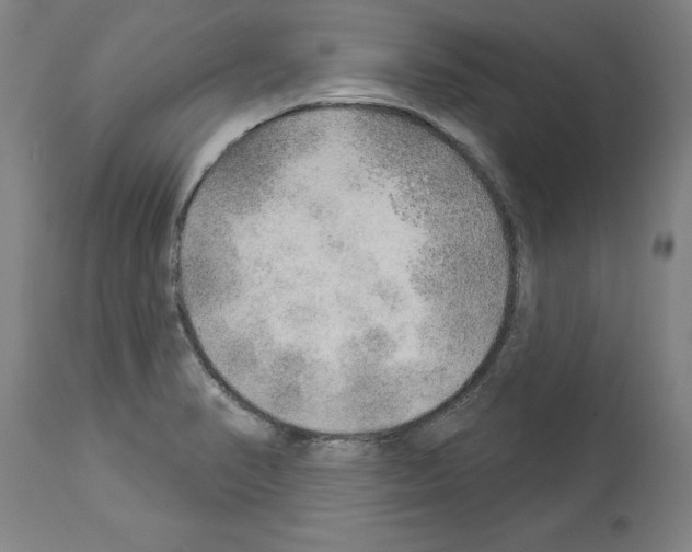 X0000113961374200911061316