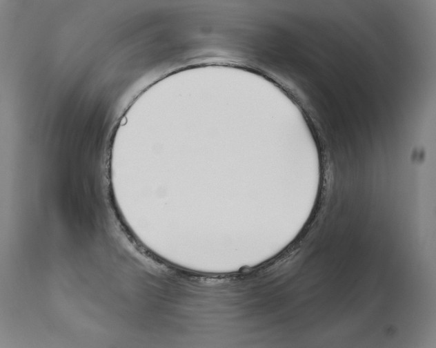X0000113961375200911061316