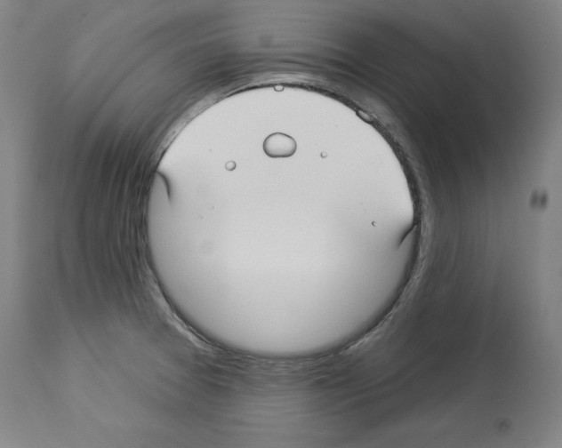 X0000113961377200911061316