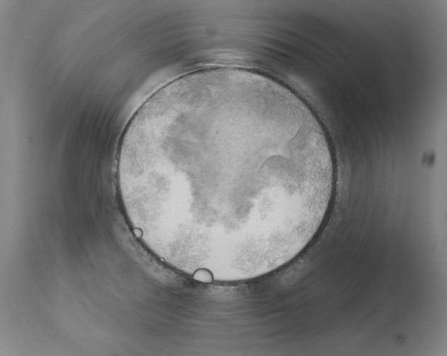 X0000113961378200911061316