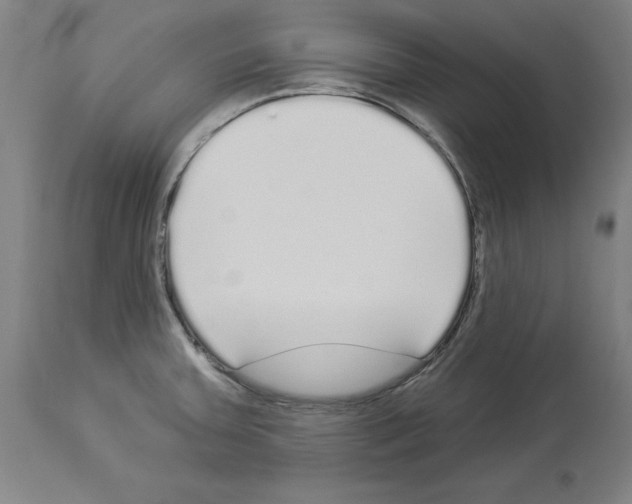 X0000113961379200911061316