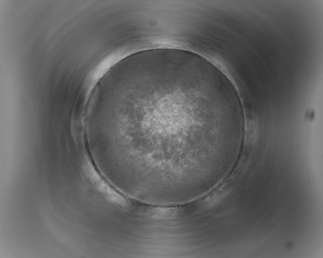X0000113961381200911061316