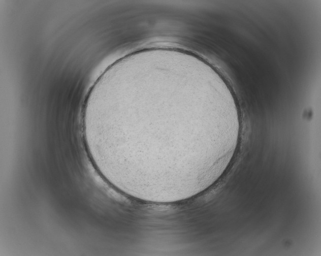 X0000113961382200911061316